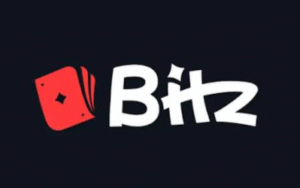bitz-io.com